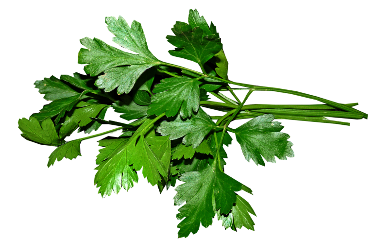 parsley, leaves, cooking-3622868.jpg
