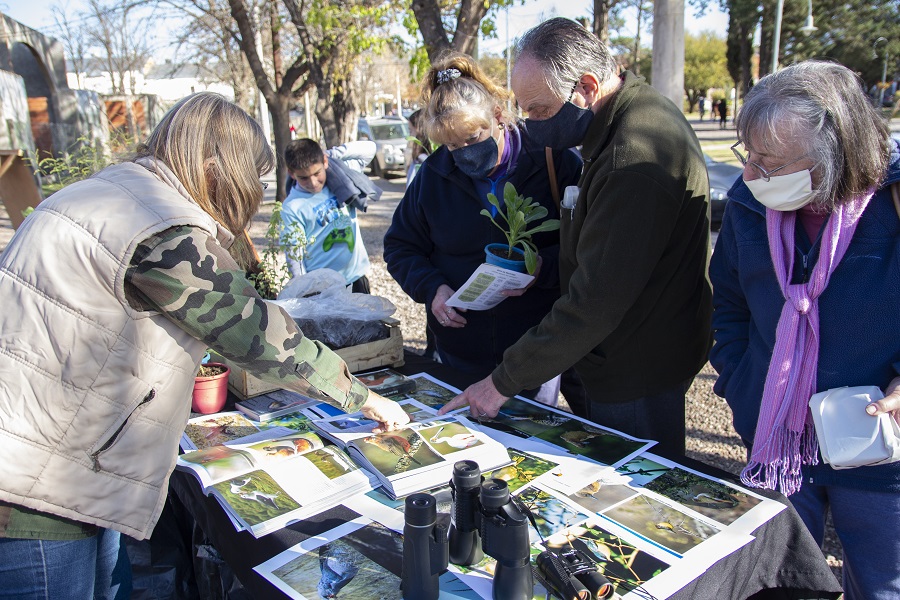 ambiente-eco-jornada (3)