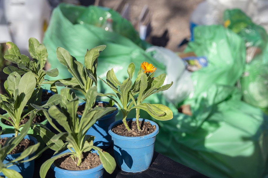 ambiente-eco-jornada (6)